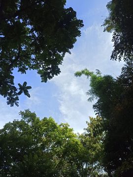 高音低音地沟通主播照片