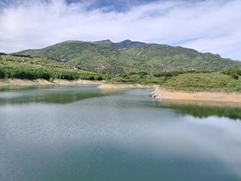爱在晚秋🐲（关关）的图片