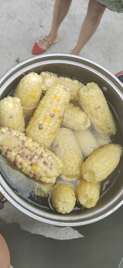 唔～飞机的图片
