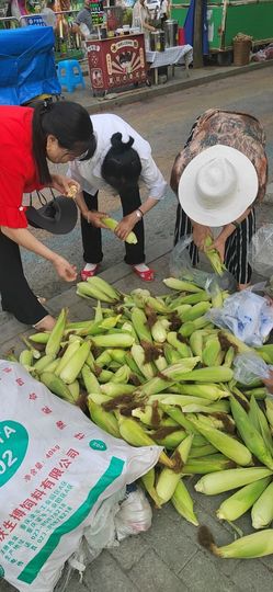 唔～飞机主播照片