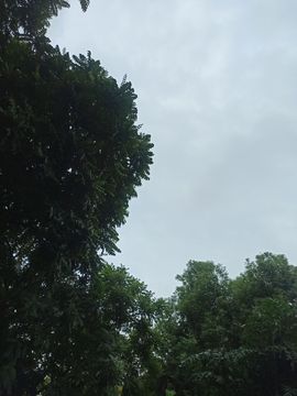 高音低音地沟通主播照片