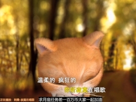 甜蜜未来乐在心怀主播照片