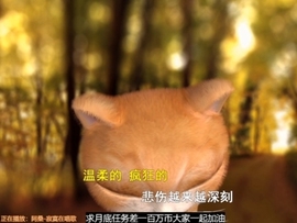甜蜜未来乐在心怀主播照片