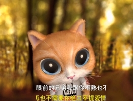 甜蜜未来乐在心怀主播照片