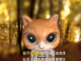 甜蜜未来乐在心怀主播照片