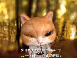 甜蜜未来乐在心怀主播照片