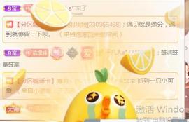 💓小香猪💓主播照片