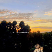 账号注销中的头像