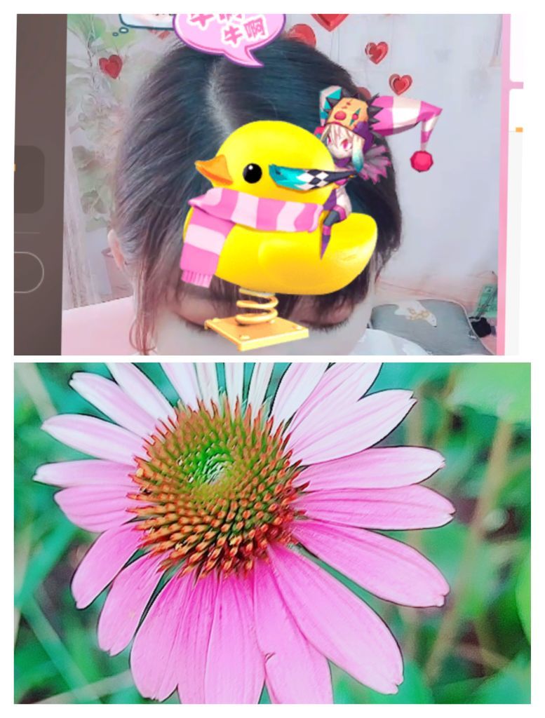 婷婷💕感恩有你陪伴的图片