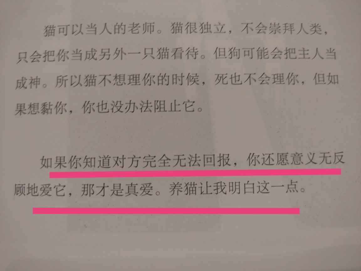 没有自我道就出现了主播照片