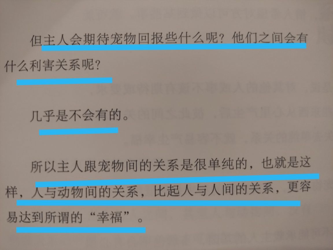 没有自我道就出现了主播照片