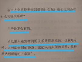 没有自我道就出现了主播照片