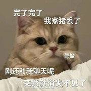 萌新宝宝WgMSRo
