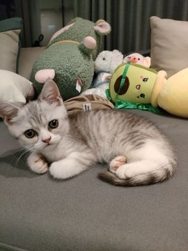 吴小优主播照片