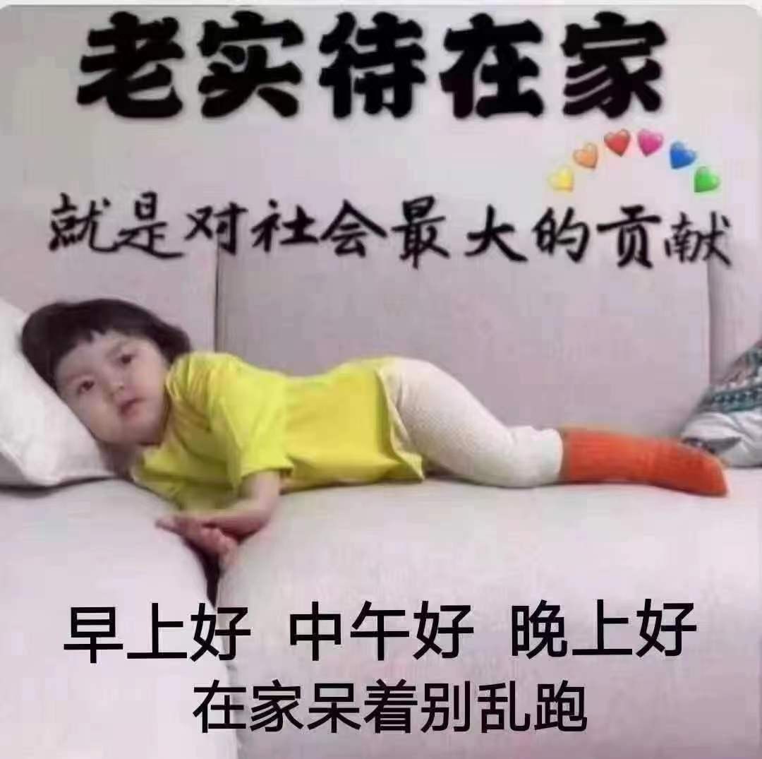 兔子🐰很可爱的图片