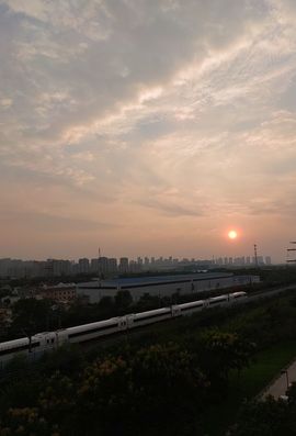 ᥫᩣ应应～的图片
