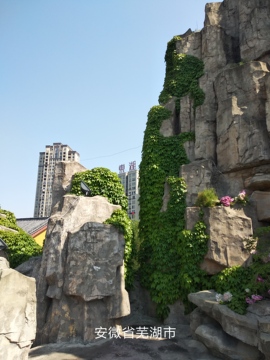 【⑥+①】→望不了的图片