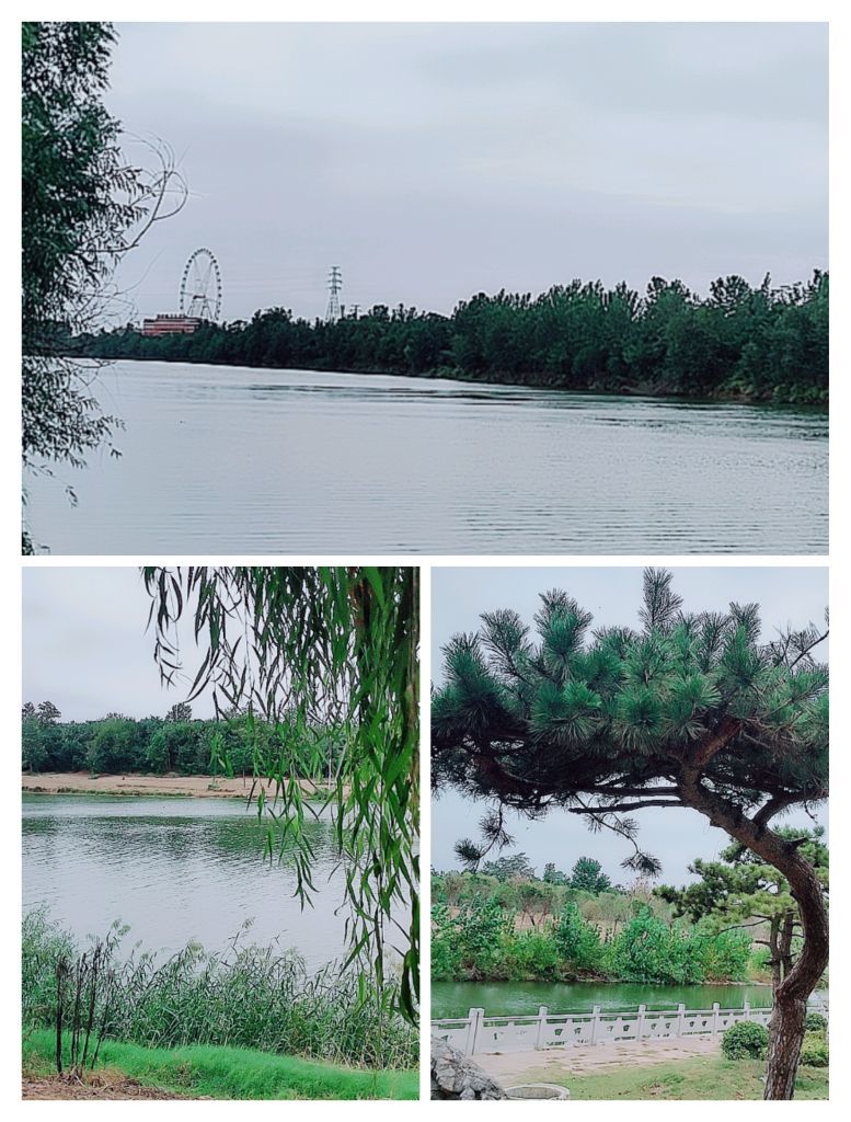婷婷💕感恩有你陪伴的图片