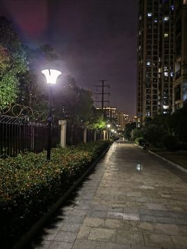 ᥫᩣ应应～的图片