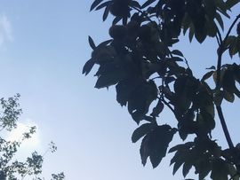 南边等你主播照片
