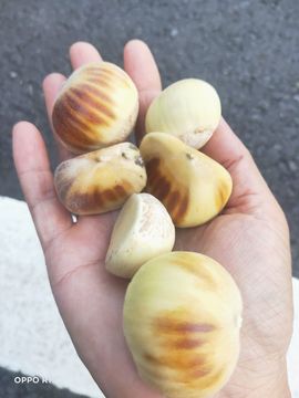 南边等你主播照片