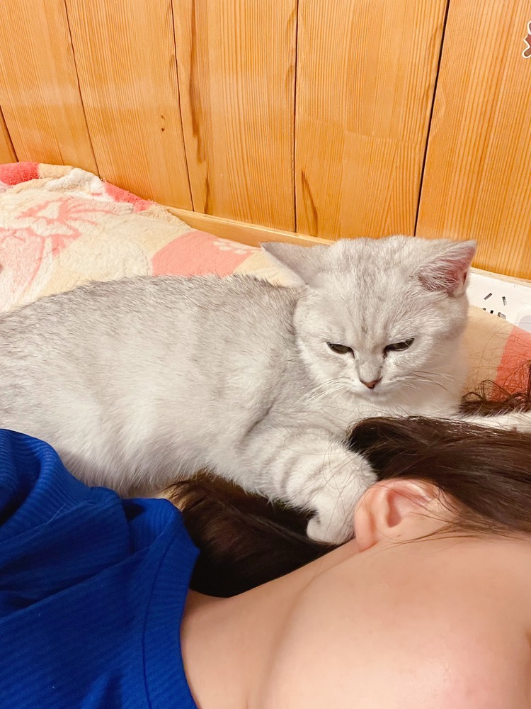 小小♥.的图片