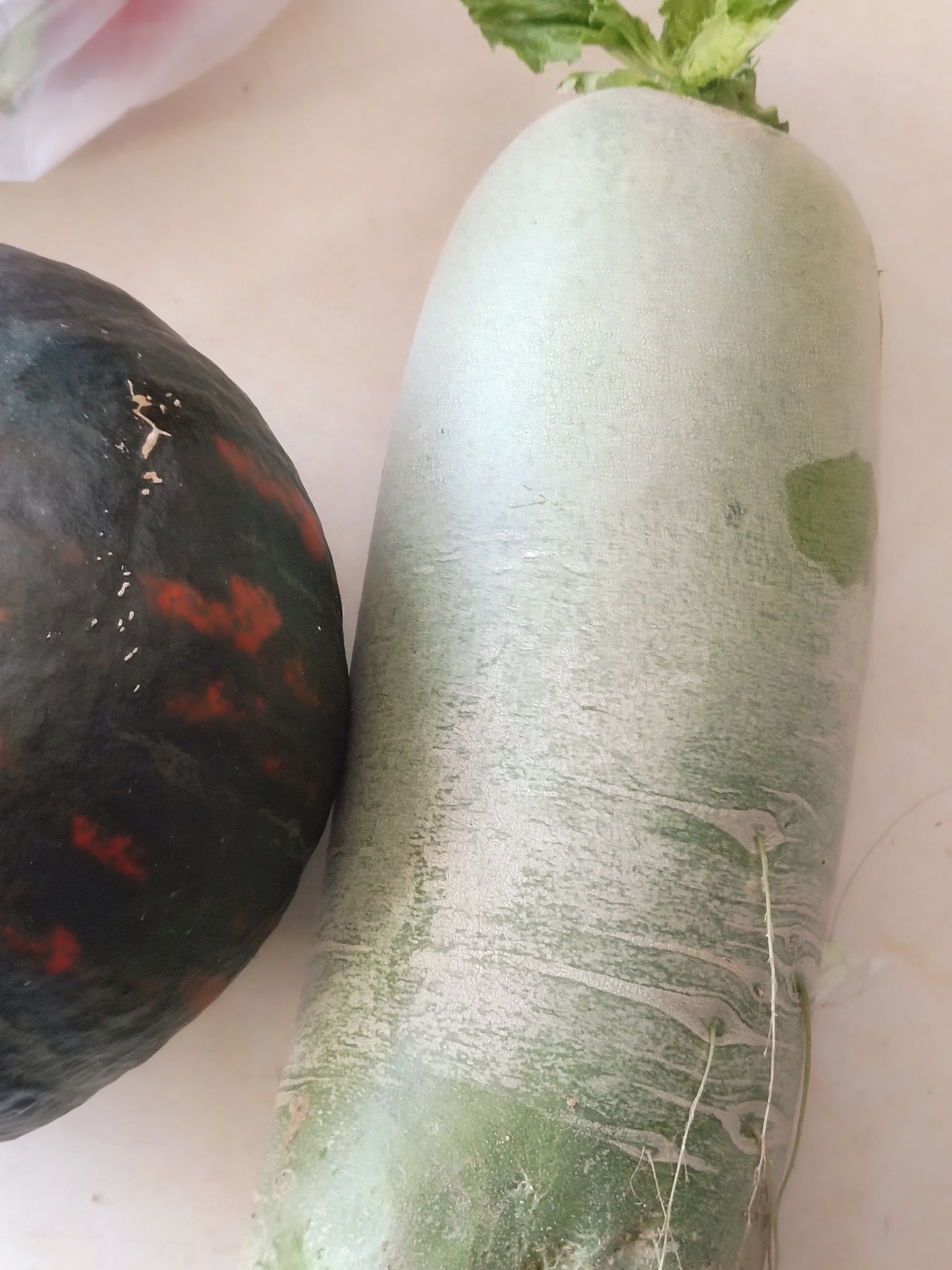 丑小鸭💞愿有一束光的图片