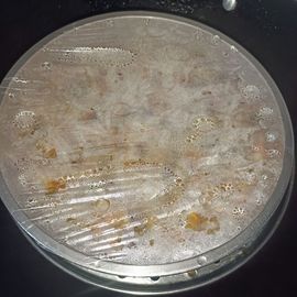 ╰゛若•.主播照片