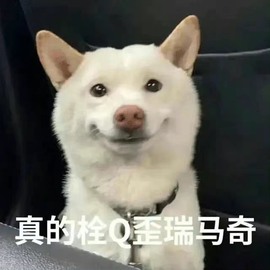 奶酪跌倒啦主播照片