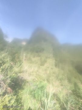 傲世英雄6主播照片