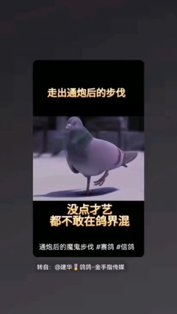 什么叫才艺😜