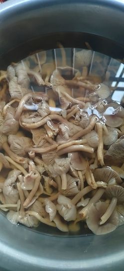 唔～飞机的图片