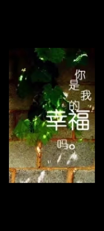 神秘人学长宝宝走走了的图片