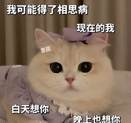 倾城🌸跳舞最哇塞主播照片
