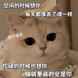 倾城🌸跳舞最哇塞主播照片
