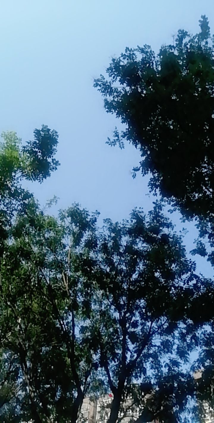 纯净的天空！的主播照片