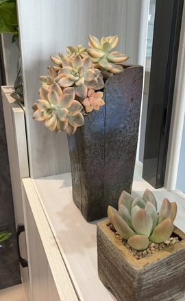 然然然然然然.主播照片