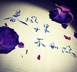 Love彼此的唯一的图片