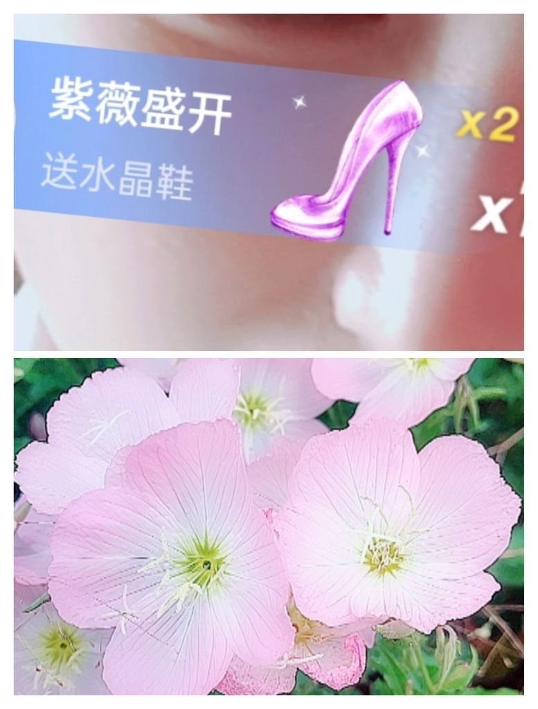 婷婷💕感恩有你陪伴的图片