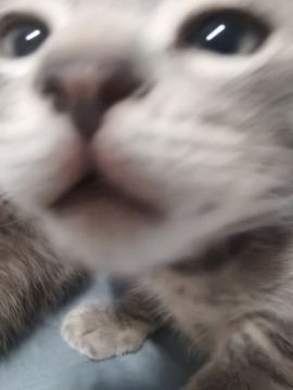 阳阳💕休主播照片