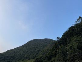 娜塔莎退主播照片