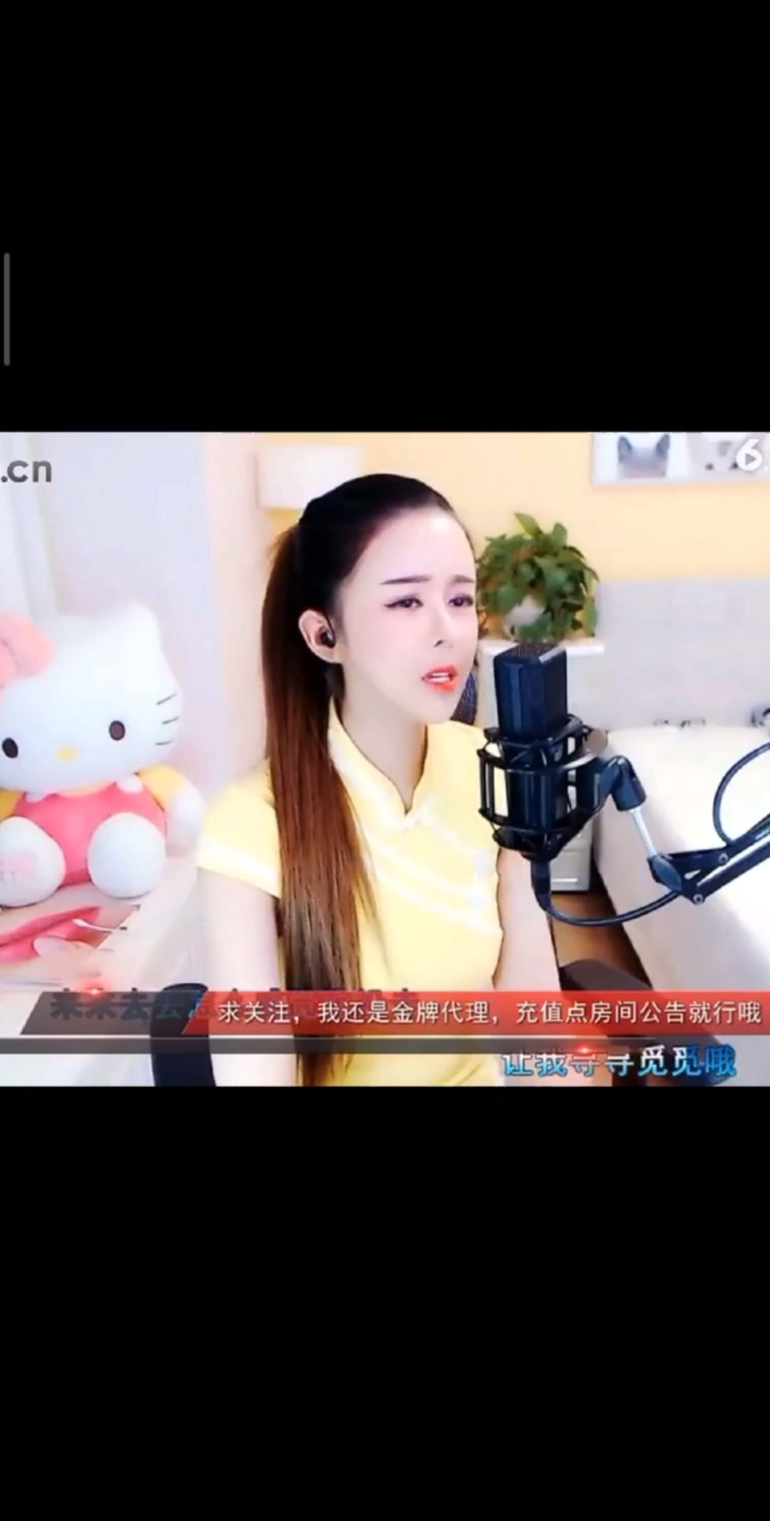 寻你不曾留