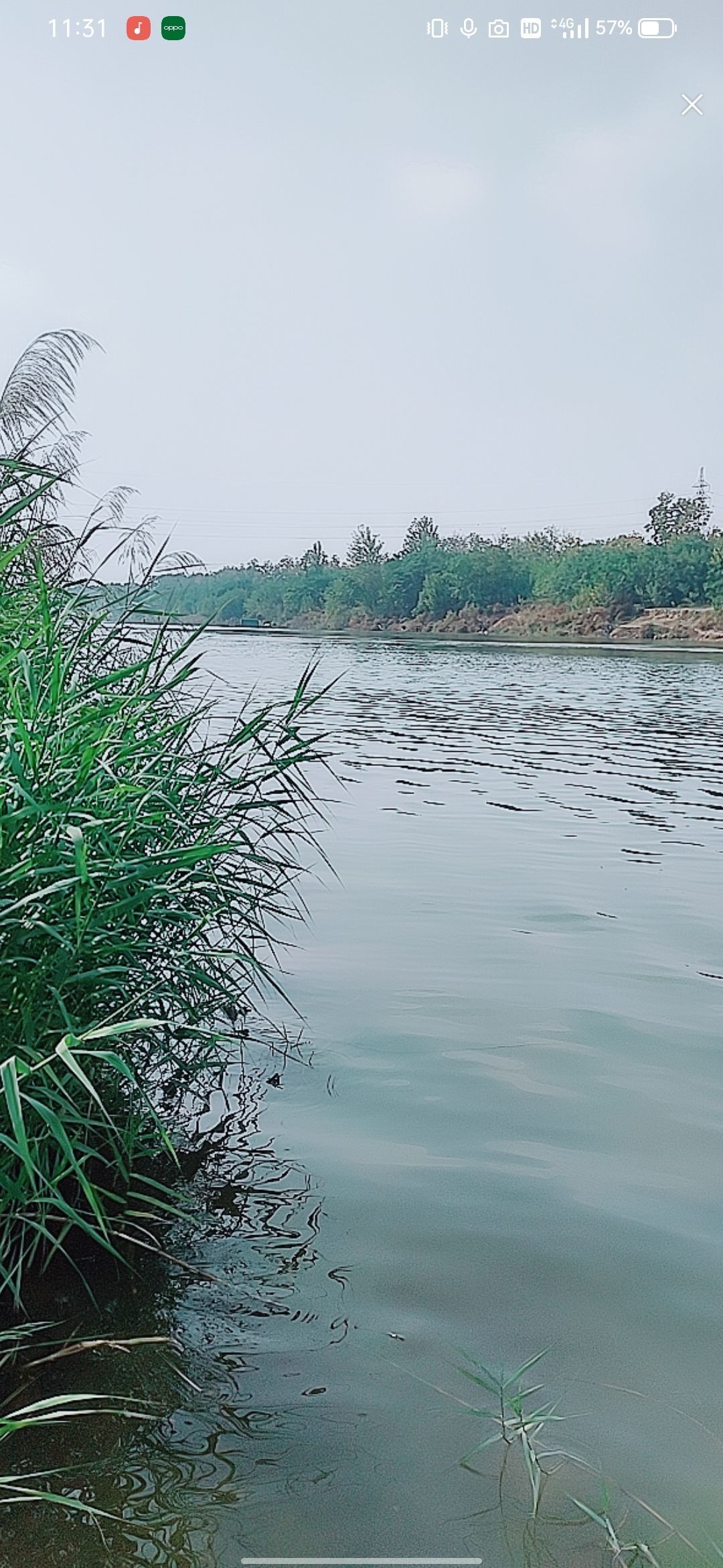 婷婷💕感恩有你陪伴的图片