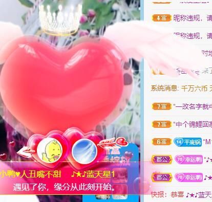 丑小鸭💞愿有一束光的图片