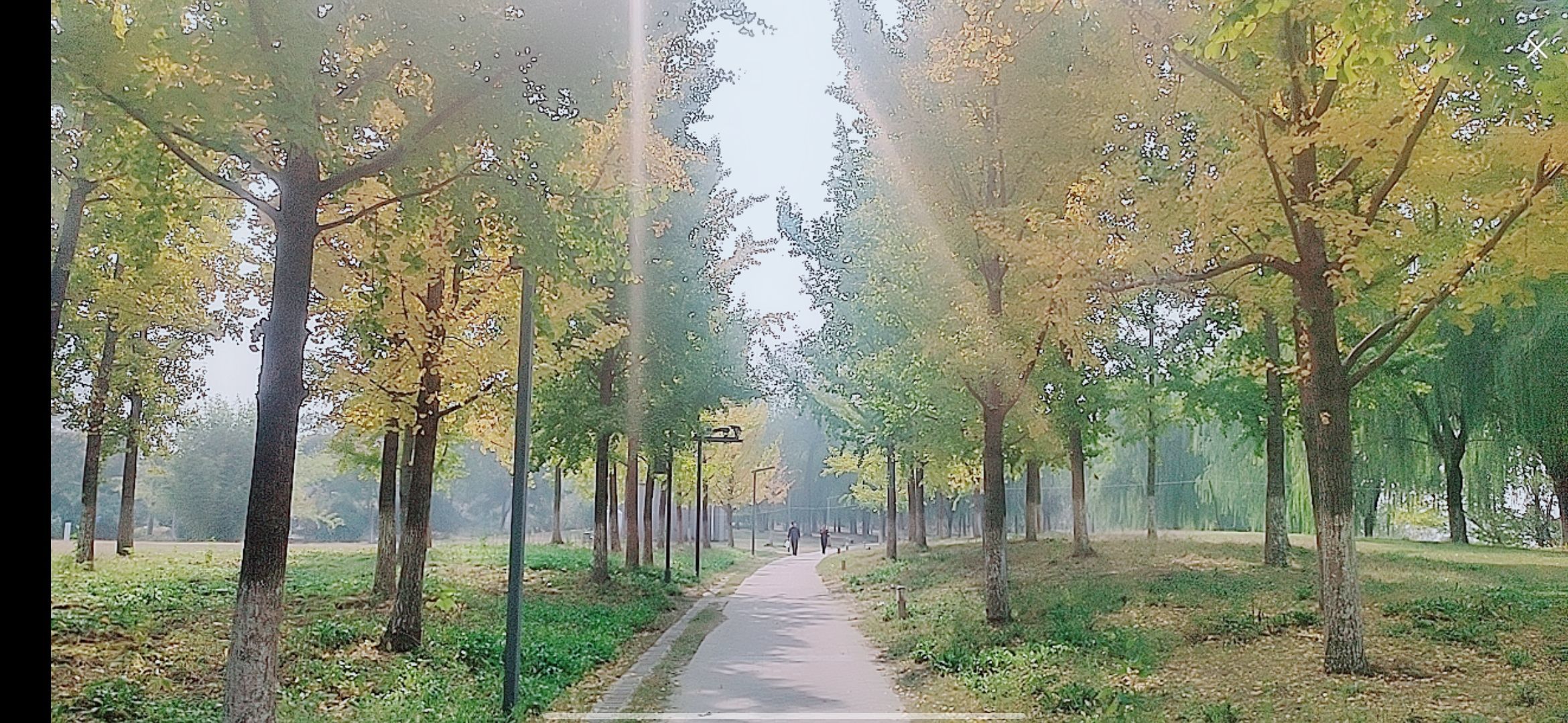 婷婷💕感恩有你陪伴的图片