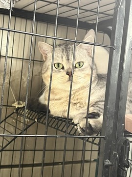 近视又散光主播照片