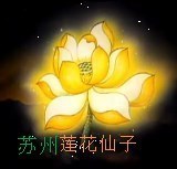 久伴两不厌主播照片