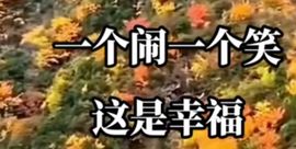 丑小鸭🍑愿有一束光主播照片