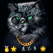 🌸差不多🌸海报
