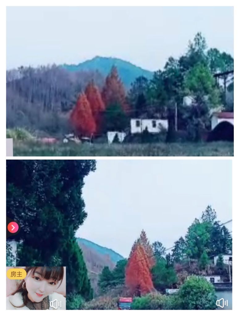 婷婷💕感恩有你陪伴的图片